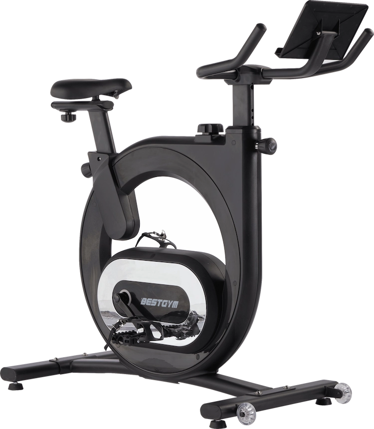 Exercise bike flywheel weight